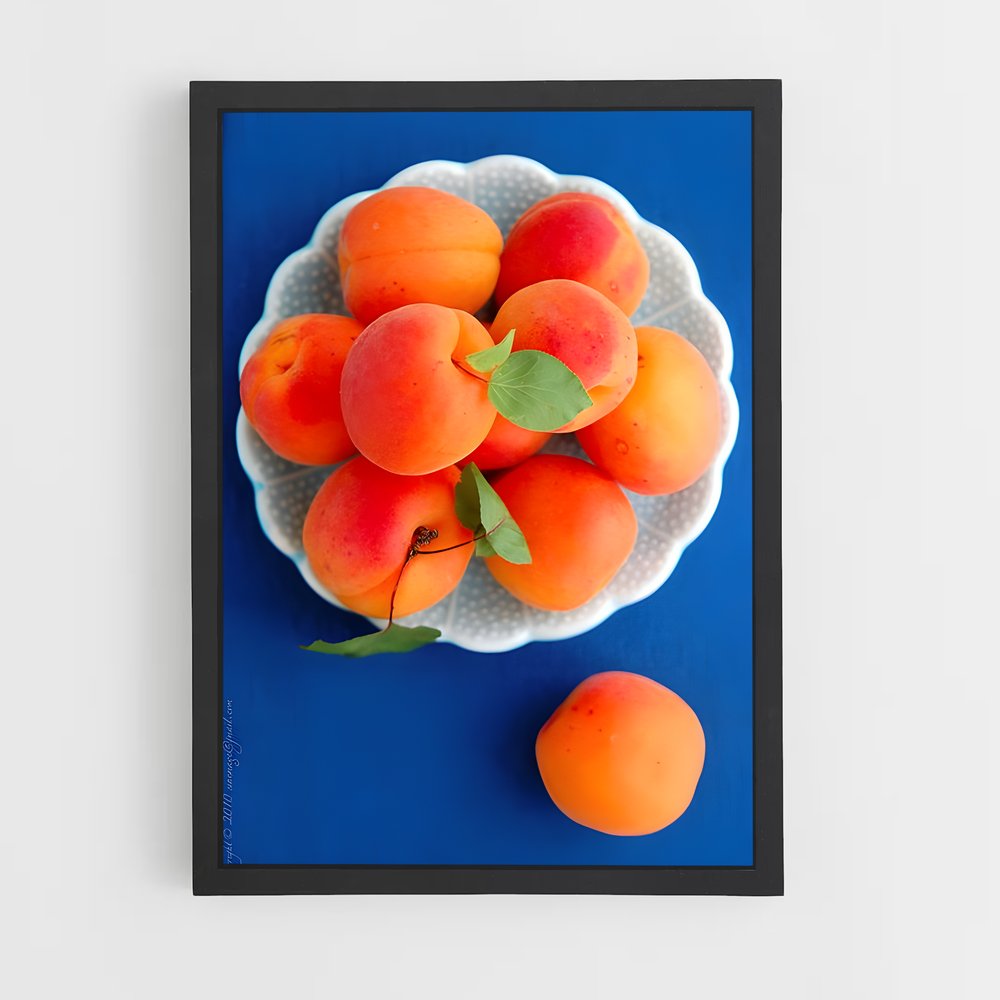 ap-apricot-3 cadre Noir