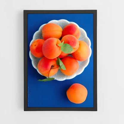 ap-apricot-3 cadre Noir