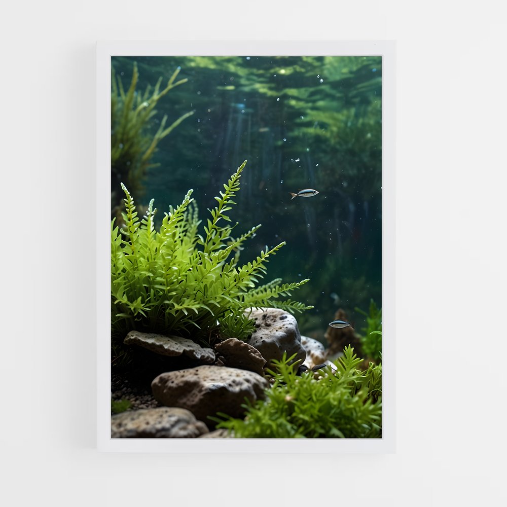ap-aquatic-1 cadre Blanc