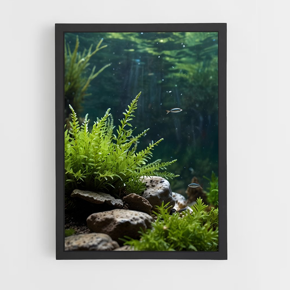 ap-aquatic-1 cadre Noir
