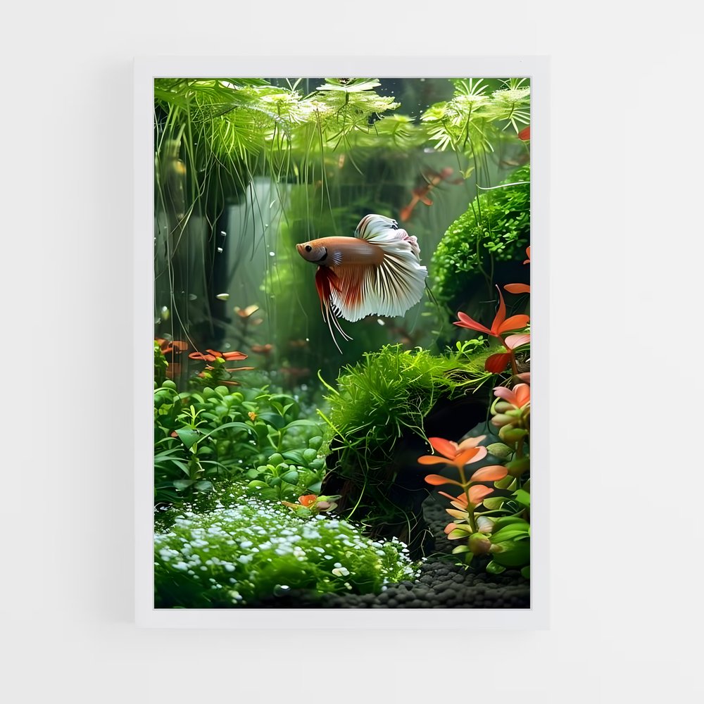 ap-aquatic-4 cadre Blanc