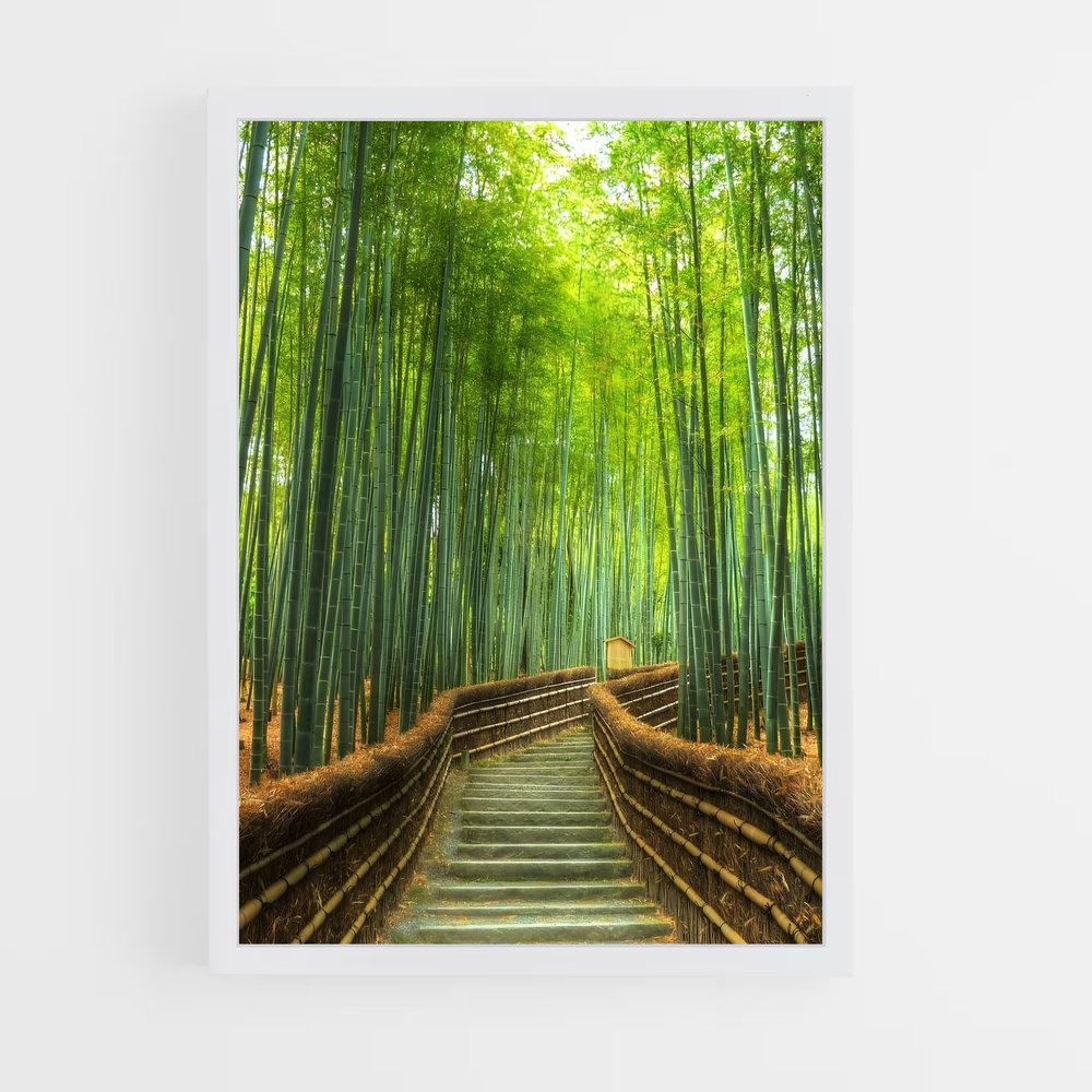 ap-arashiyama bamboo grove-1 cadre Blanc