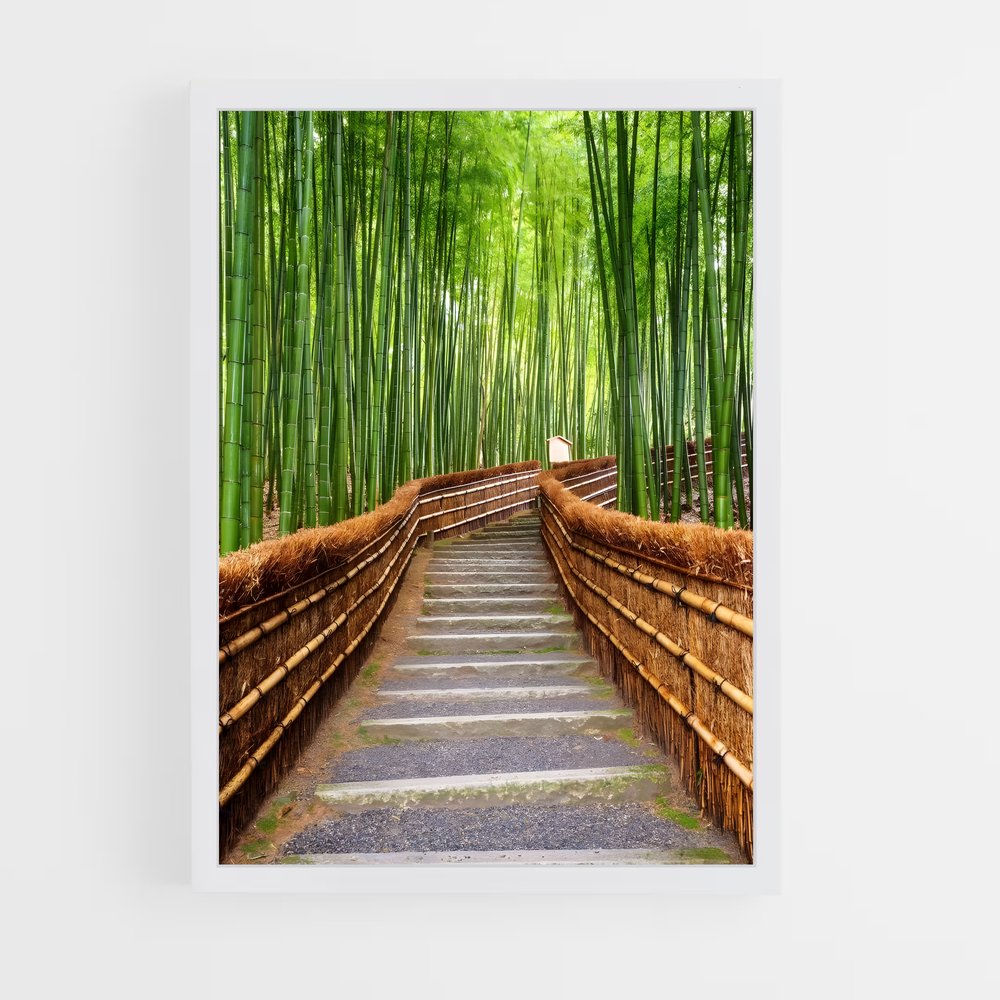 ap-arashiyama bamboo grove-2 cadre Blanc
