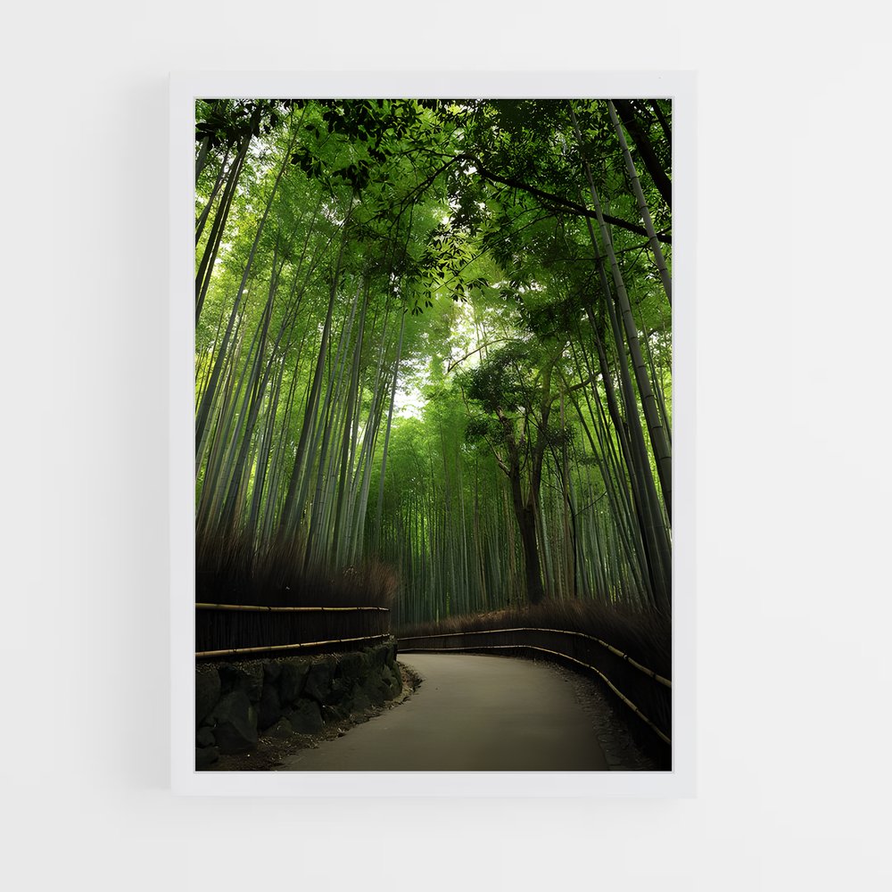 ap-arashiyama bamboo grove-5 cadre Blanc