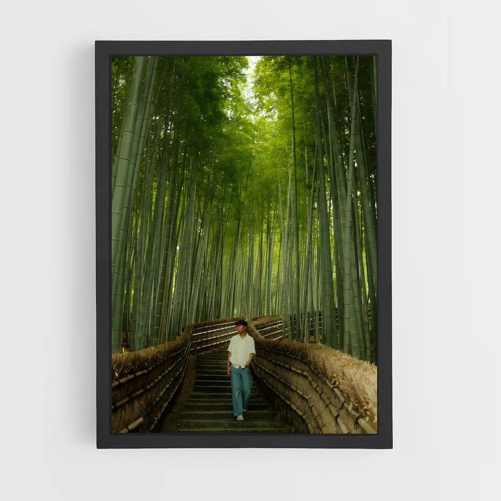 ap-arashiyama bamboo grove-7 cadre Noir