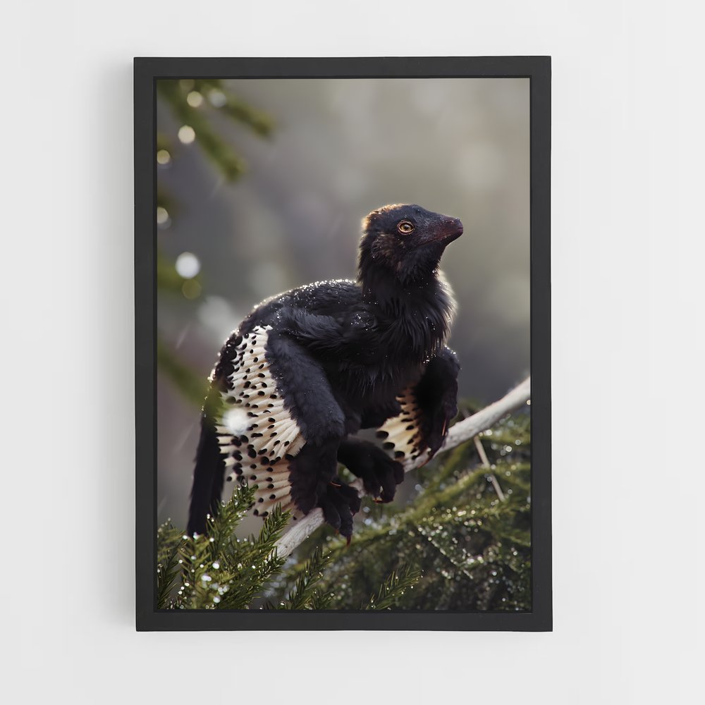 ap-archaeopteryx-1 cadre Noir