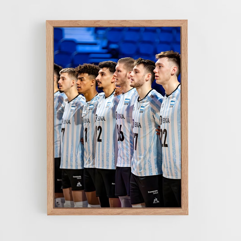 ap-argentina national volleyball team-2 cadre Bois clair