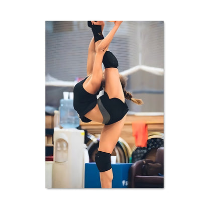 Poster Arina averina 66456
