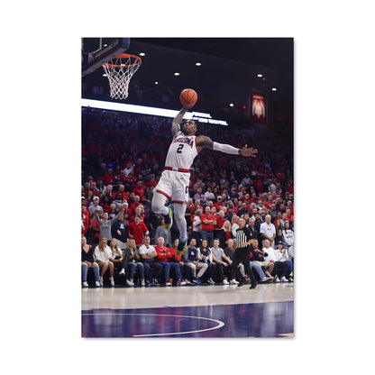 Poster Dunk de l'Esprit Arizona