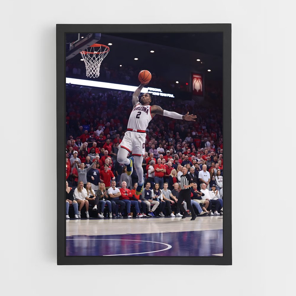 ap-arizona wildcats-1 cadre Noir