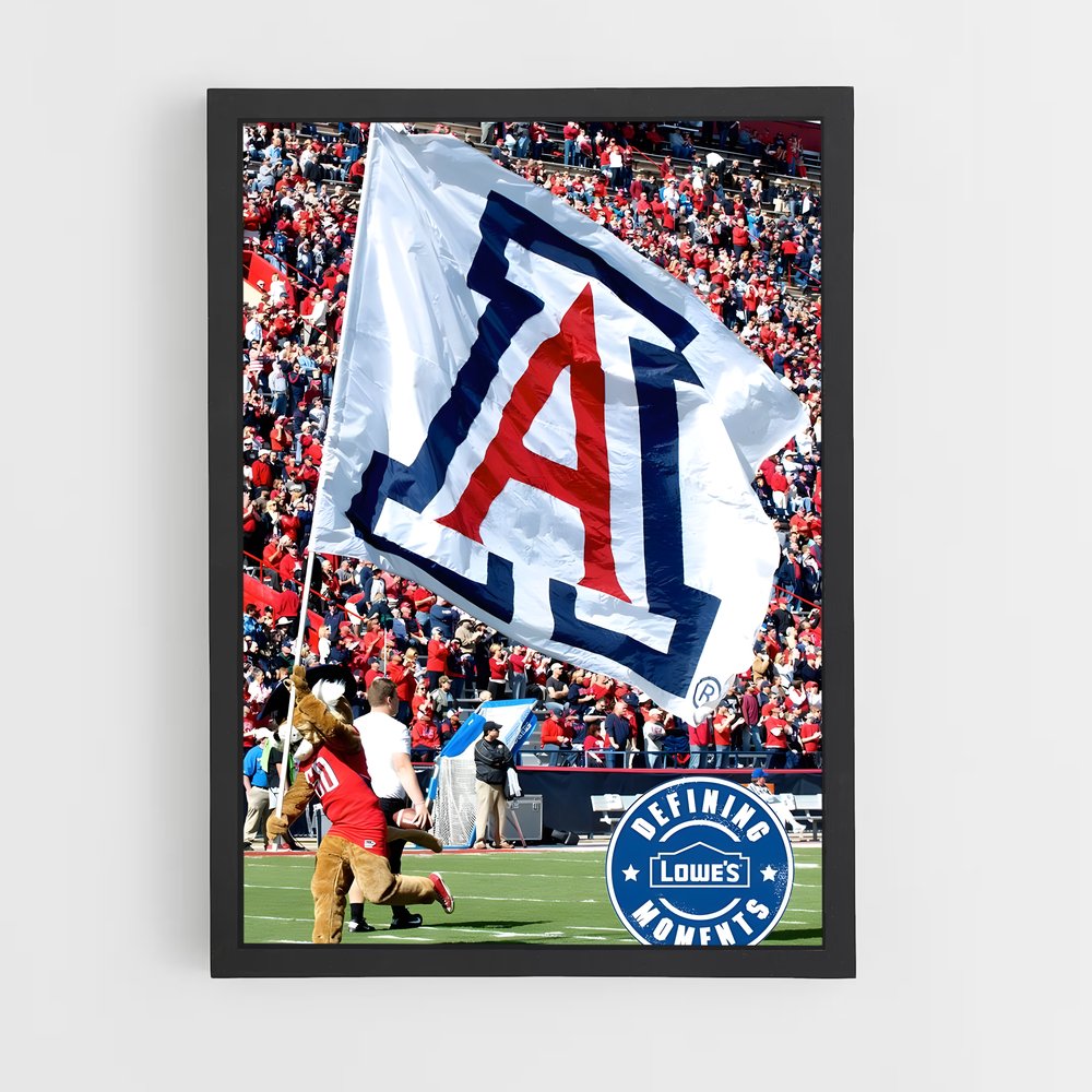ap-arizona wildcats-3 cadre Noir