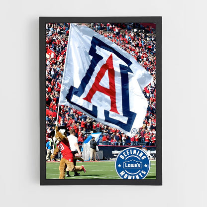 ap-arizona wildcats-3 cadre Noir