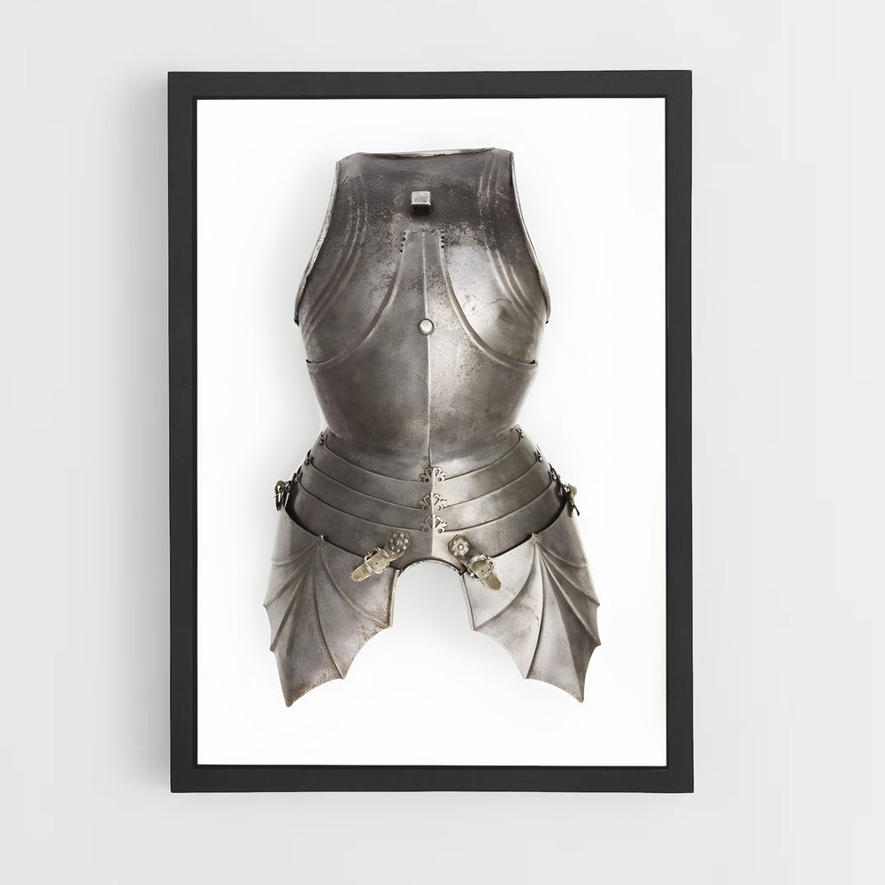 ap-armor-6 cadre Noir