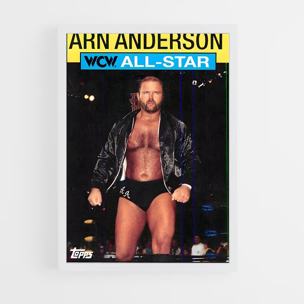 ap-arn anderson-3 cadre Blanc