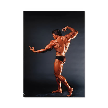 Poster Arnold schwarzenegger 64772