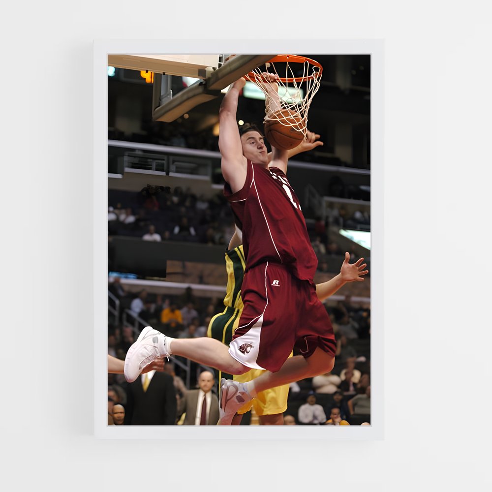 ap-aron baynes-1 cadre Blanc