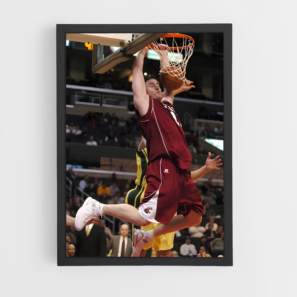 ap-aron baynes-1 cadre Noir