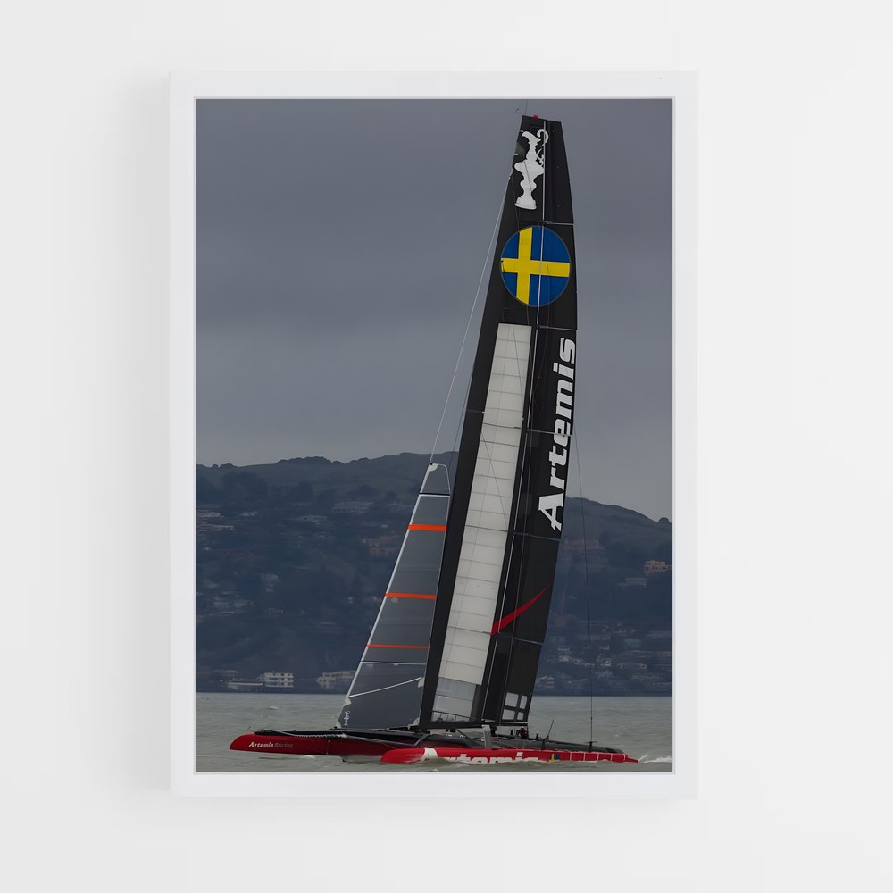 ap-artemis racing-1 cadre Blanc