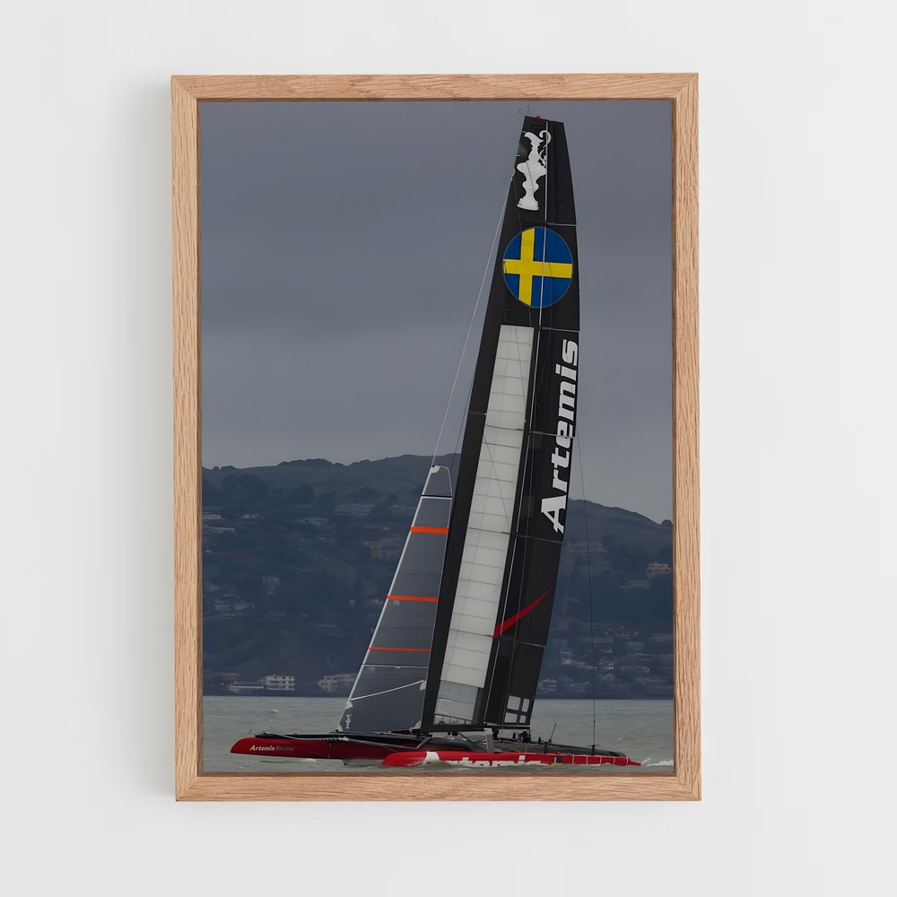 ap-artemis racing-1 cadre Bois clair