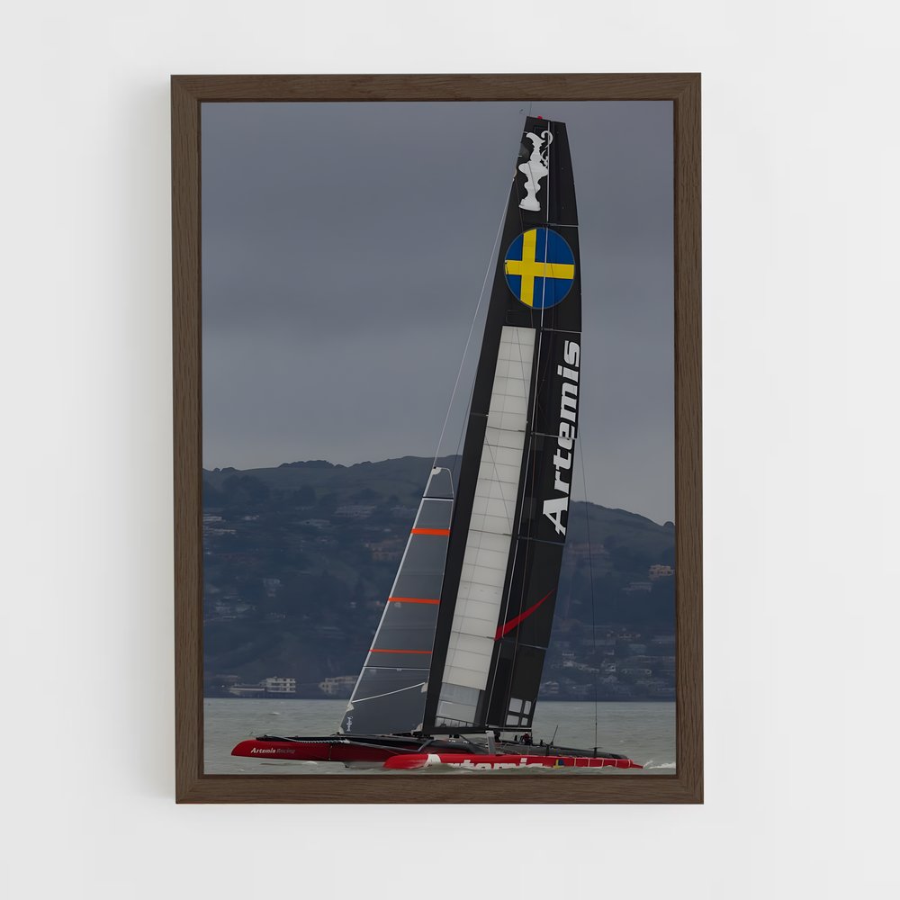 ap-artemis racing-1 cadre Bois foncé