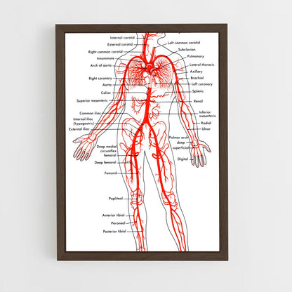 ap-artery-2 cadre Bois foncé