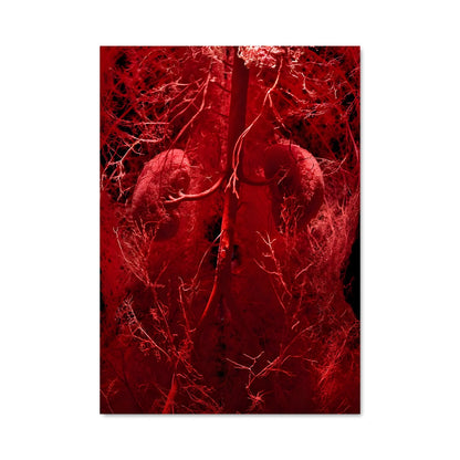 Poster Corps Écarlate