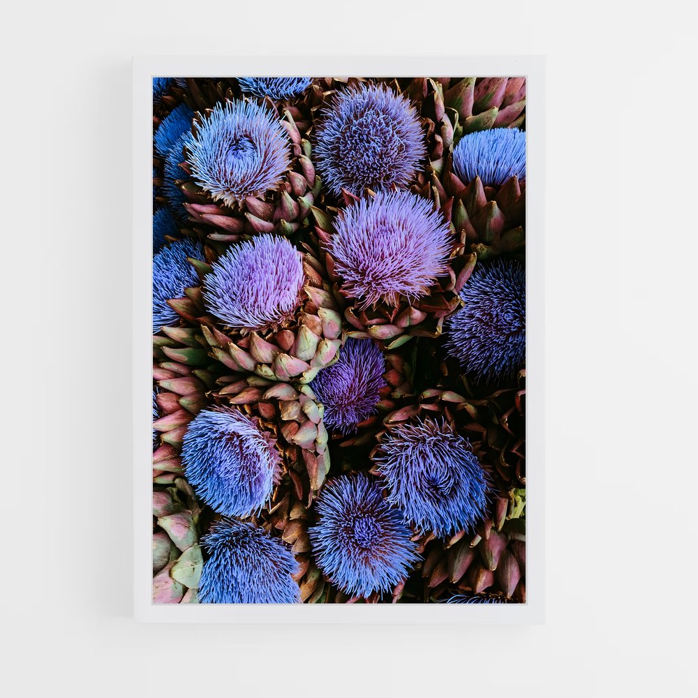 ap-artichoke-1 cadre Blanc