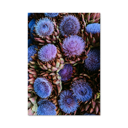 Poster Fleurs de Vigne