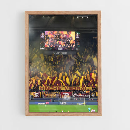 ap-as roma-6 cadre Bois clair