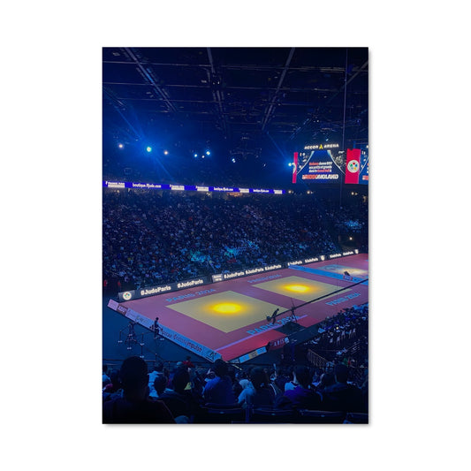 Poster Judo en Action