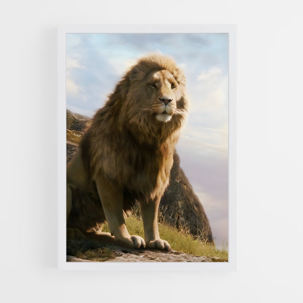 ap-aslan-1 cadre Blanc