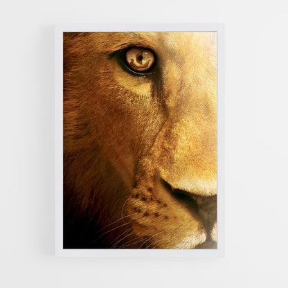 ap-aslan-4 cadre Blanc