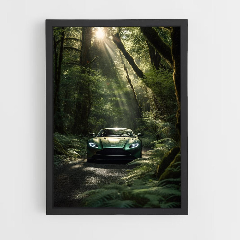ap-aston martin-7 cadre Noir