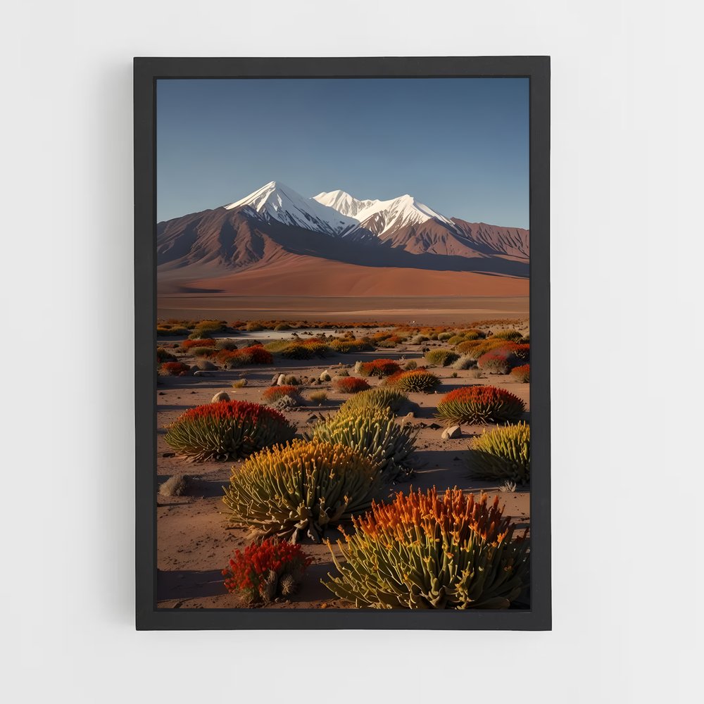 ap-atacama desert-6 cadre Noir