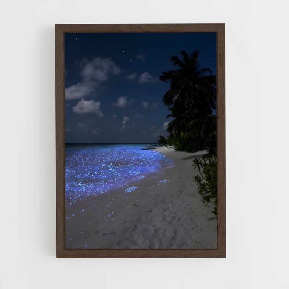 ap-atoll-6 cadre Bois foncé