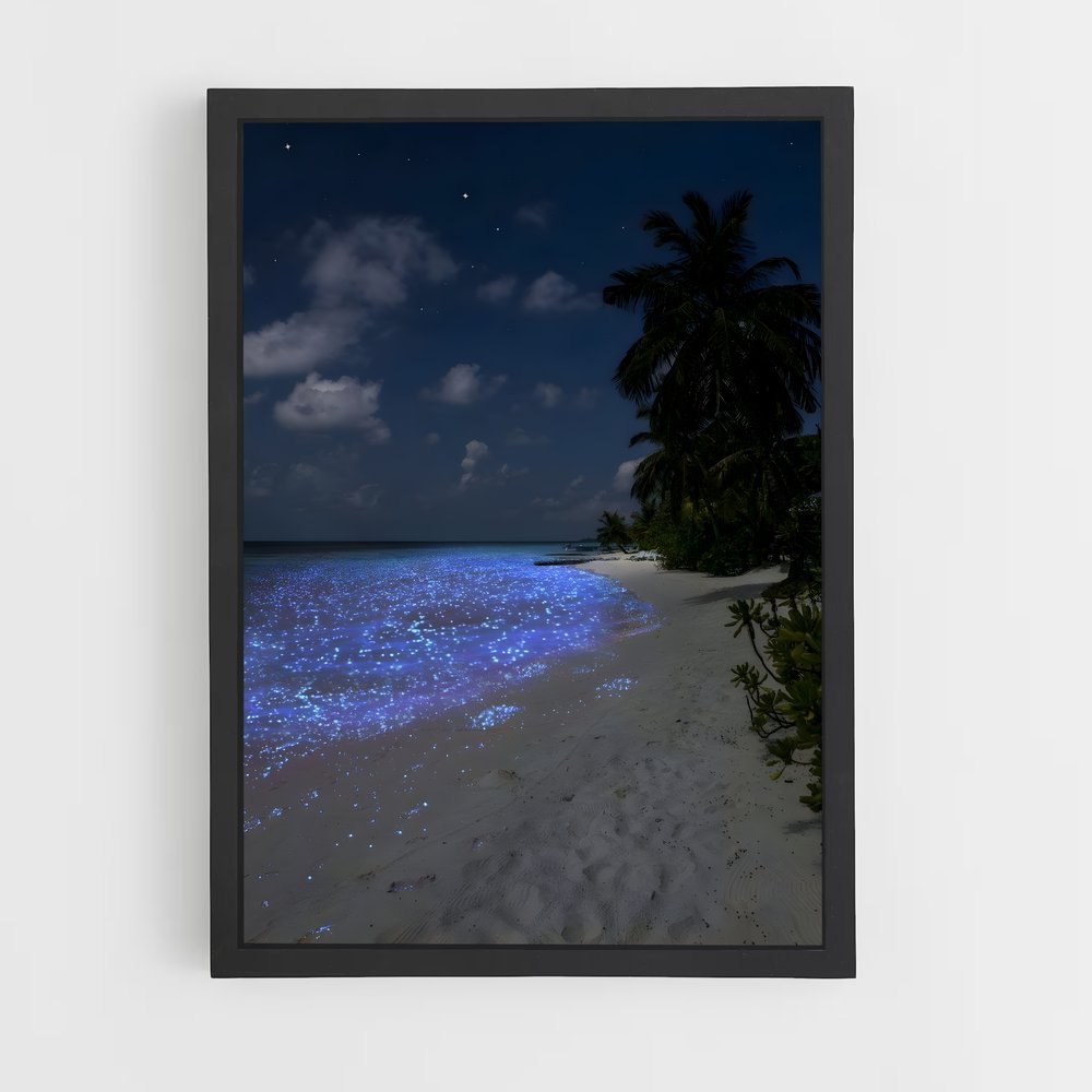 ap-atoll-6 cadre Noir