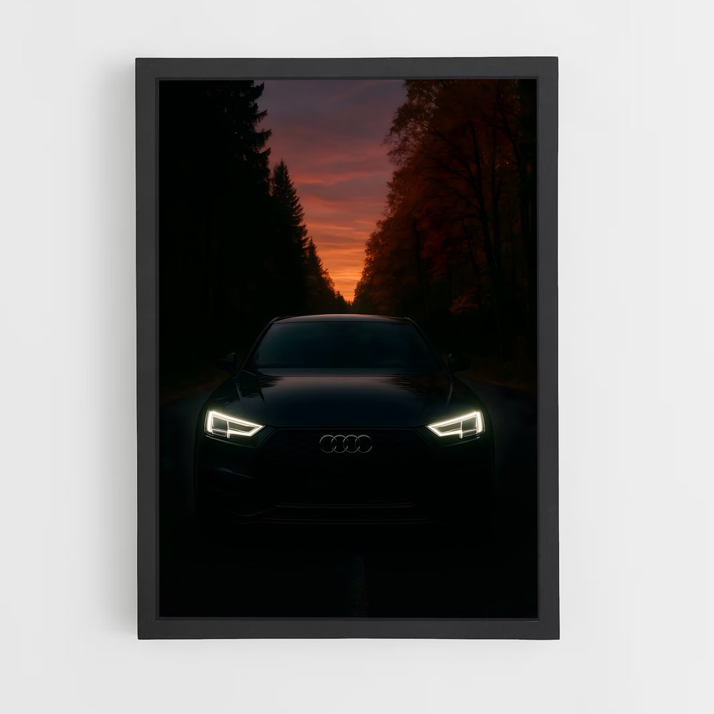 ap-audi-6 cadre Noir