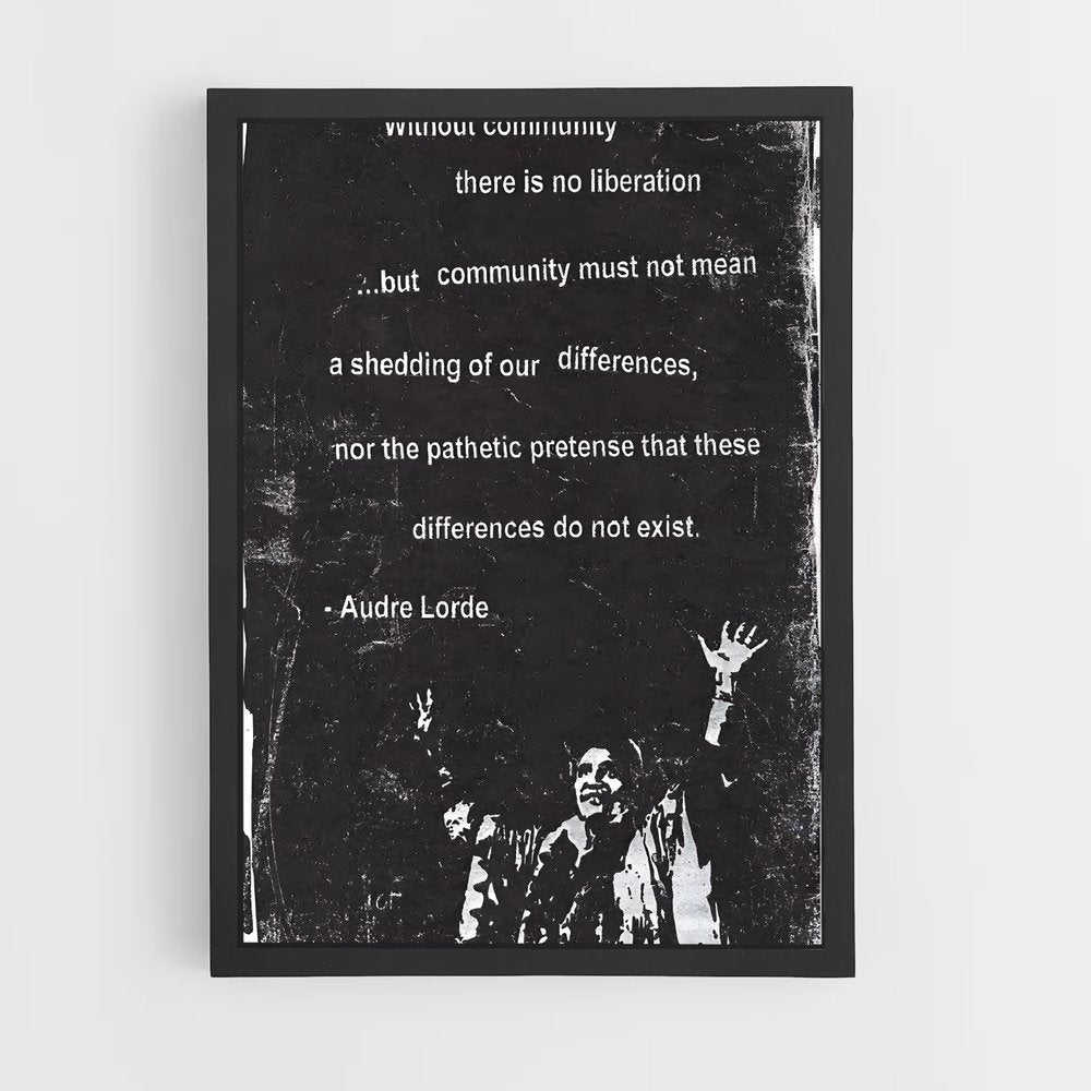 ap-audre lorde-2 cadre Noir