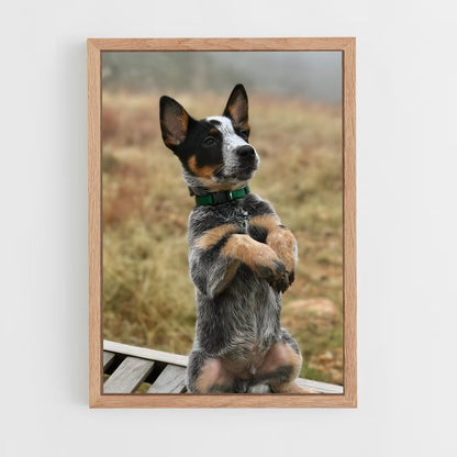 ap-australian cattle dog-2 cadre Bois clair