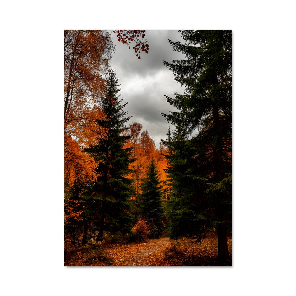 Poster Autumn 97589