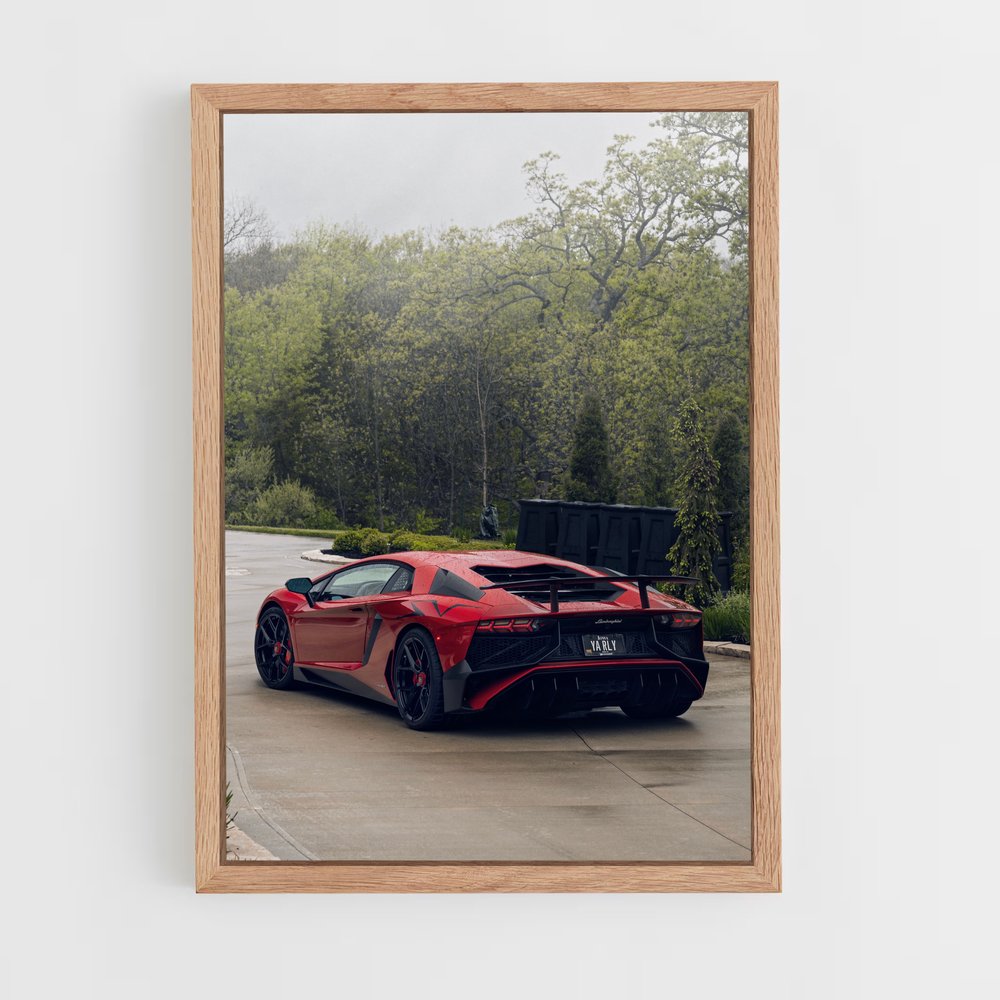 ap-aventador sv-4 cadre Bois clair