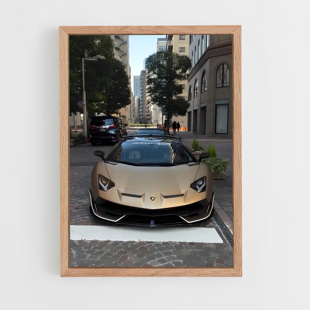 ap-aventador svj-1 cadre Bois clair