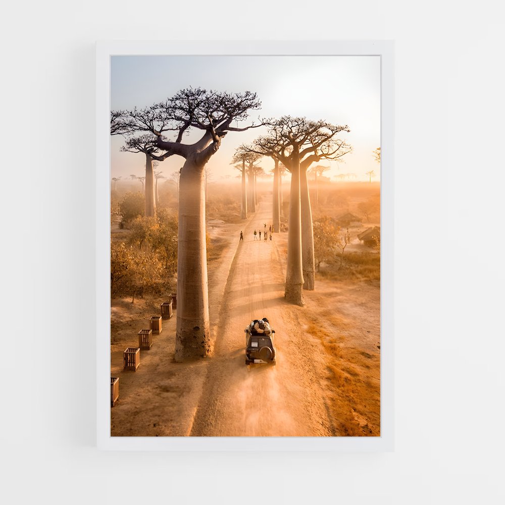 ap-avenue of the baobabs-1 cadre Blanc