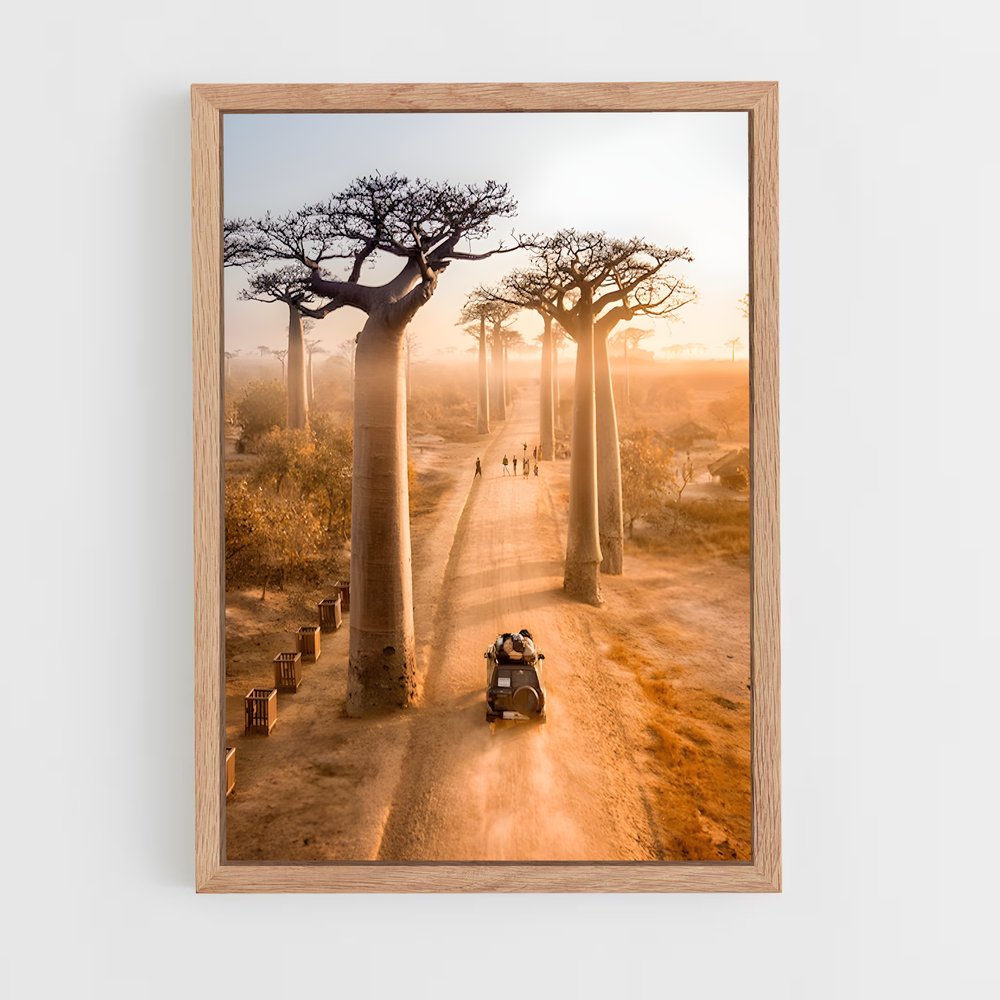 ap-avenue of the baobabs-1 cadre Bois clair