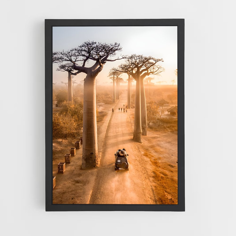 ap-avenue of the baobabs-1 cadre Noir