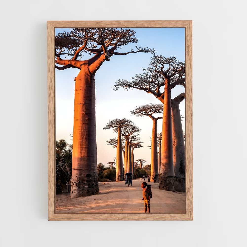 ap-avenue of the baobabs-2 cadre Bois clair
