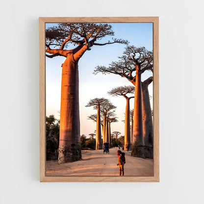 ap-avenue of the baobabs-2 cadre Bois clair