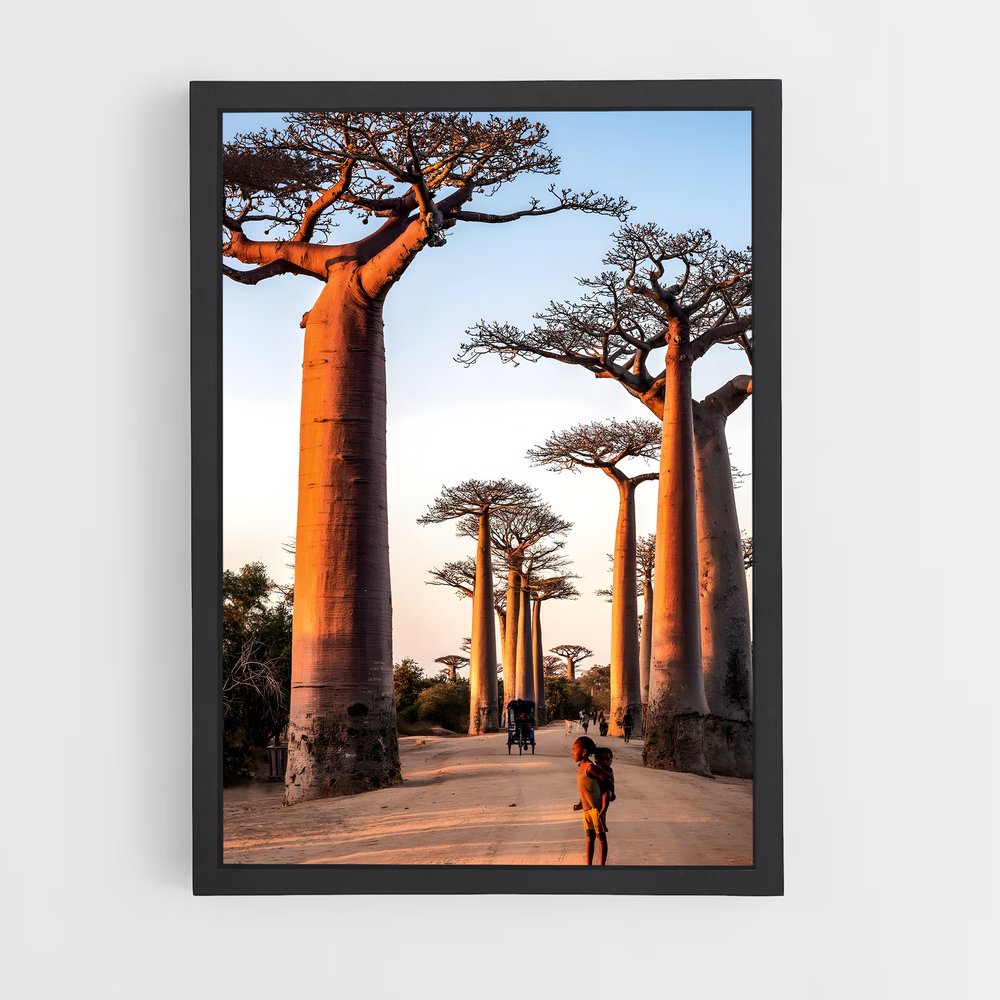 ap-avenue of the baobabs-2 cadre Noir