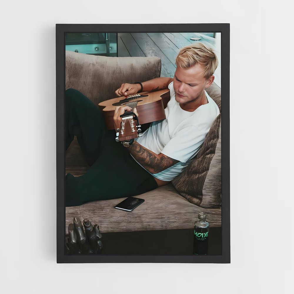 ap-avicii-10 cadre Noir