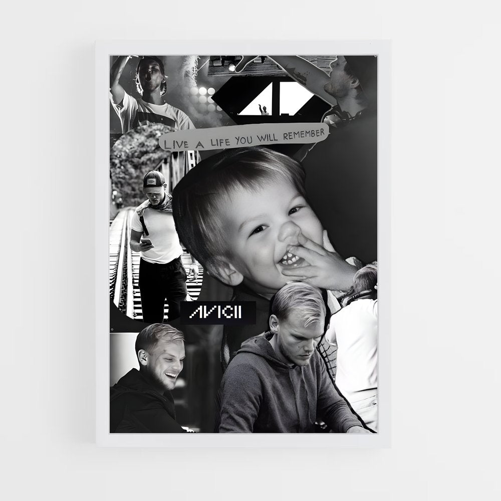 ap-avicii-12 cadre Blanc